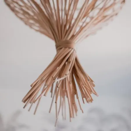 Hotel-restaurant Metis