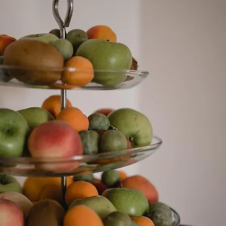 Hotel-restaurant Metis מלון