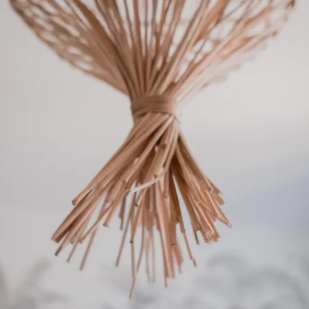 Hotel-restaurant Metis לז הרבייה