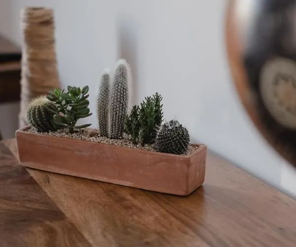 Hotel-restaurant Metis